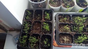 //199// Утром была весна ,а к вечеру пришла зима.