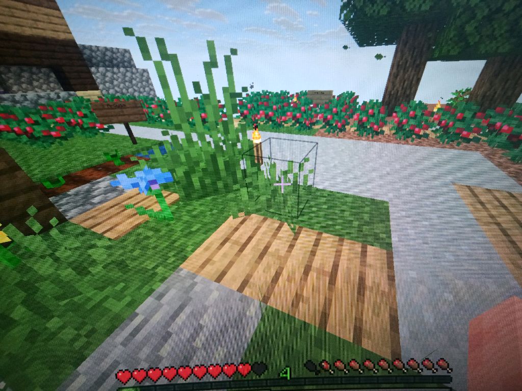 спидранер против ахотника