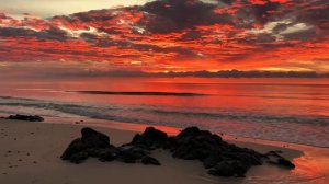 О, как я люблю! стихи и музыка - Виктор Михнев + SUNO авторская