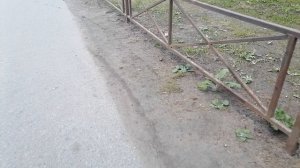 Биум джитсу, бим-бим-бим 🚀 Царена-несмеяна идет🔥