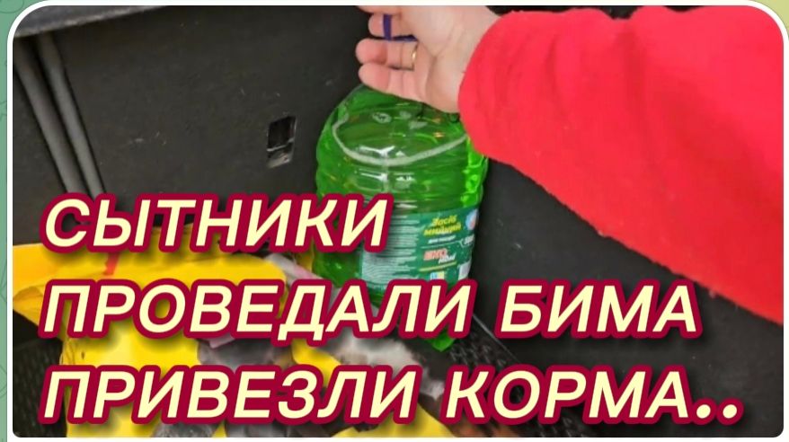 САМВЕЛ АДАМЯН, СЫТНИКИ, ПРОВЕДАЛИ БИМА, ПРИВЕЗЛИ КОРМА..