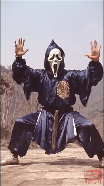 Imagine your favorite horror character in a kung fu fight