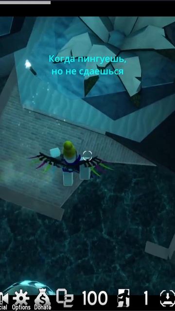 когда пингуешь но не сдаешься