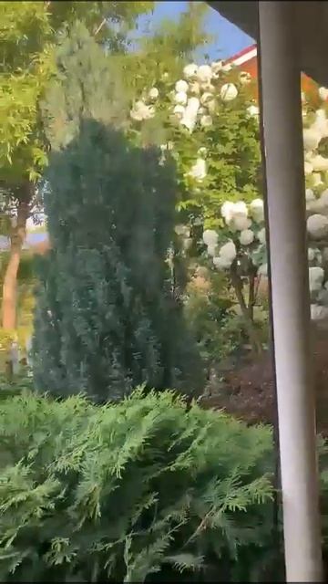 Последний бой