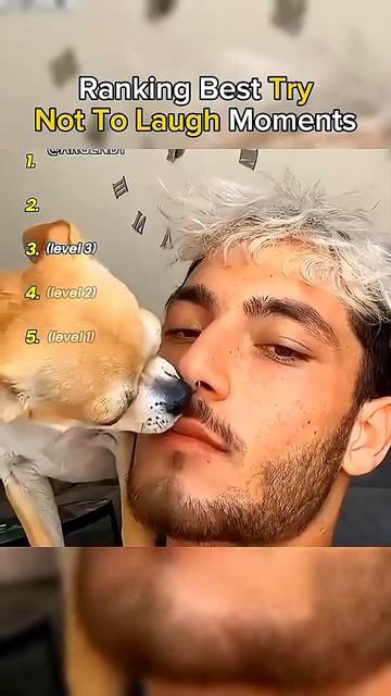 Перезалил из «ТикТока»