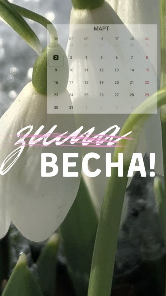 #люблюсвоёдело