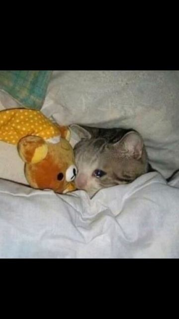 Мне не очень приятно такое читать...