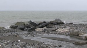 Коротко о погоде в Сочи