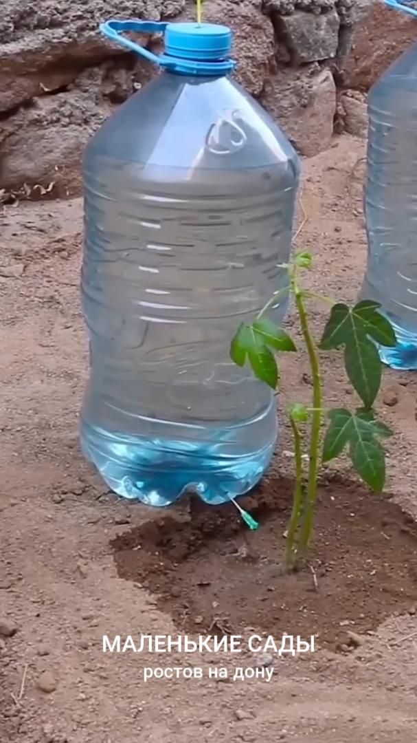 Нано система капельного полива 21 века | Маленькие Сады