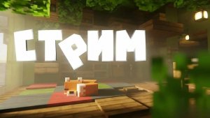 играю  с другом  в майн