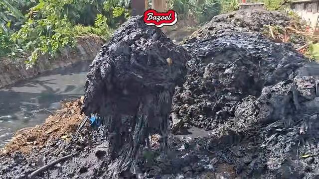 Biang Banjir Batang Pohon Di Dasar Kali Tertimbun Bertahun-Tahun Terangkat Excavator