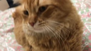 Почти… но ещё нужно подождать.