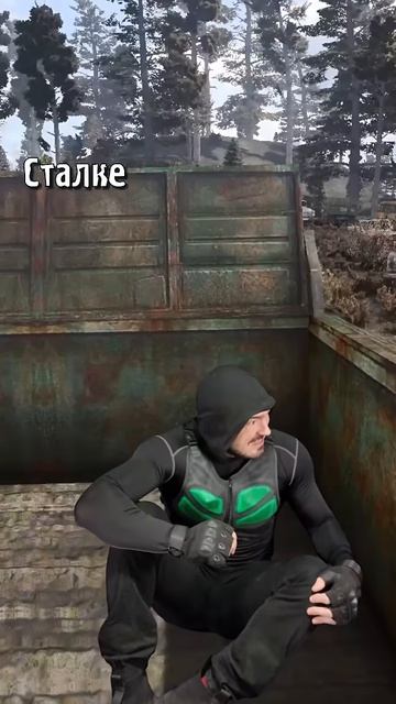 Маленький сталкер спрятался в кузов, но попал в меню