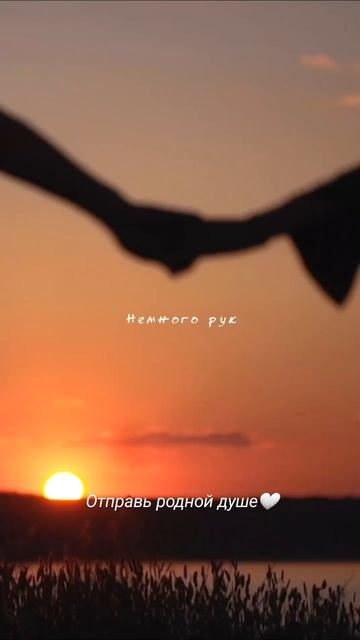 ✨🕊️ Любовь — это пройти вместе через всё. Остаться, выстоять, простить, улучшить, беречь, ценить...