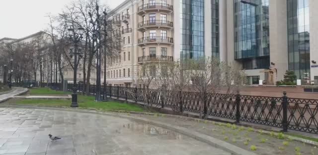 ВЛОГ апрельский тыквенный // красим пряжу, вяжем и сажаем