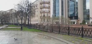 ВЛОГ апрельский тыквенный // красим пряжу, вяжем и сажаем