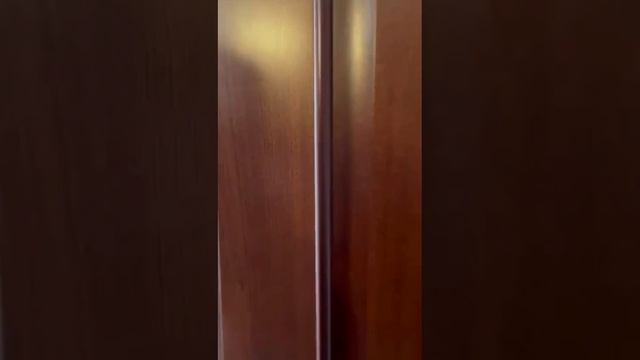 Видео музыка Академичка 10.08.24