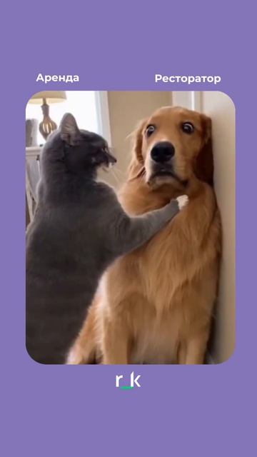 Когда аренда растёт быстрее чем средний чек