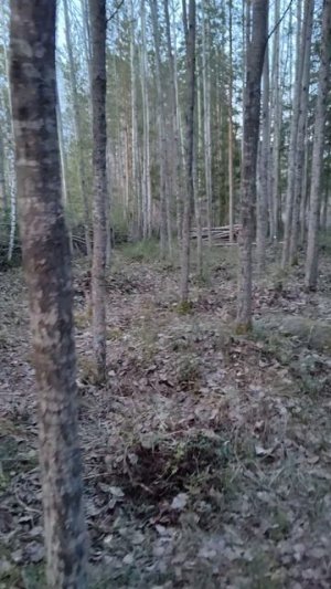 VID_20260418_203130.mp4