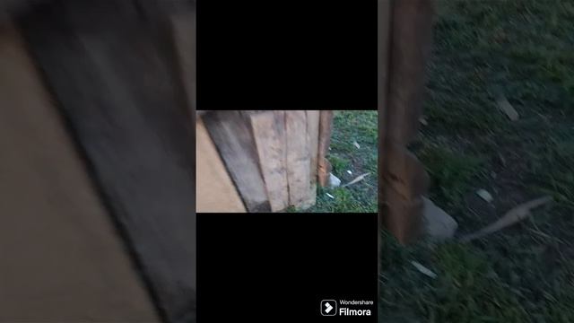 Дом школьника #1 обзор