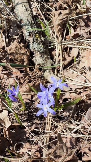 Природа всегда разная. Иногда надо просто присмотреться, чтобы увидеть чудеса.