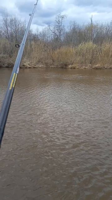 Река Чусовая. Ловись 🐟🐟🐟