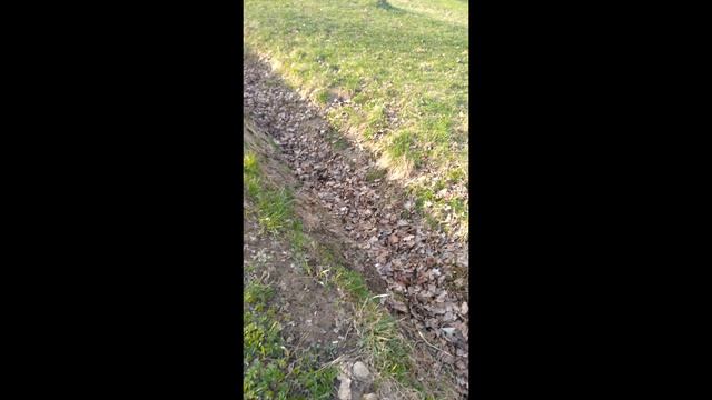 Худшие и лучшие стороны парка Александрино