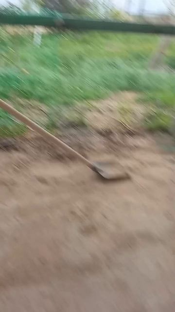 эта лапата сламала законы физики