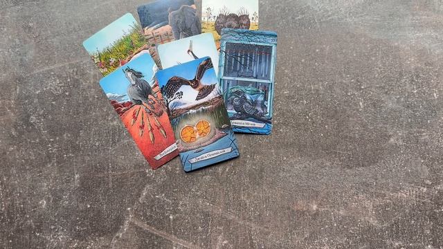 НЕ ПОЛУЧАЕТСЯ! почему? преграды на вашем пути? тема ЛЮБАЯ. таро расклад