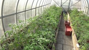 Зачем я показываю старые видео? По просьбам зрителей. 19.04.2026.