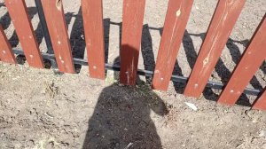 Потому, что праздник