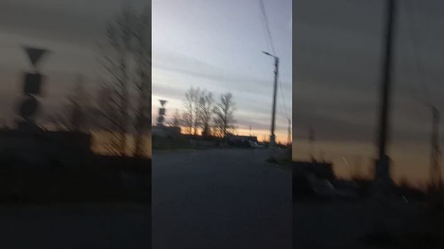 первая поездка Бони!