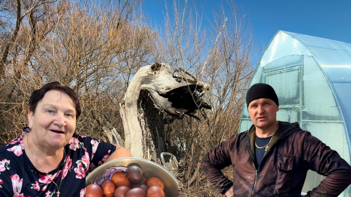 ТЕПЛИЦА НА СТАРТЕ: ФОРМИРУЕМ ДОРОЖКИ И ГРЯДКИСЕЕМ БАРХАТЦЫГОТОВИМСЯ К ПАСХЕ.