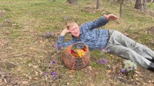 ДЕНЬ УДАЛСЯ ! Не зря поехали за грибами на дальняк ! Строчки и смочковые шапки ! Грибы 2026 !