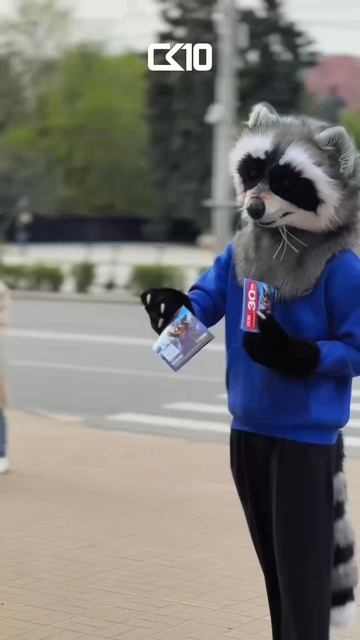 Ростовчане ловили енота в центре города