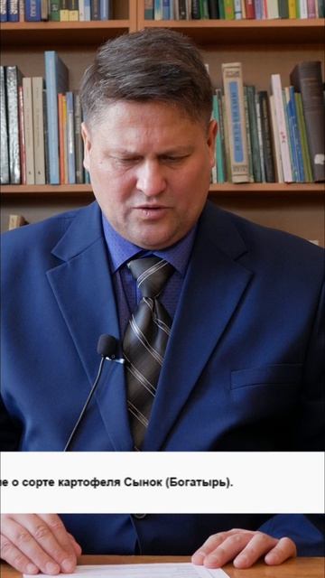 Картофель Сынок