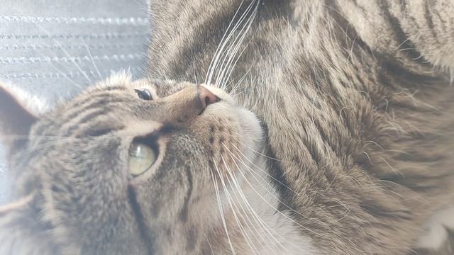 ммм-уютно😊