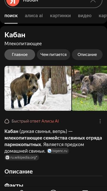 Секреты Яндекс