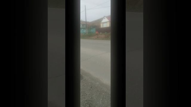 Светик снова танцует, но теперь 3 минуты