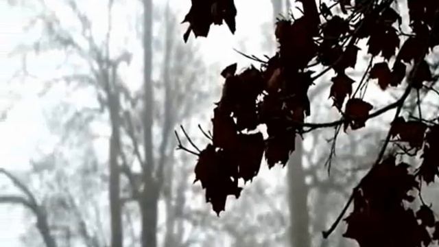 DJ Segen(Илья Киселев) Смысл жизни смотреть онлайн