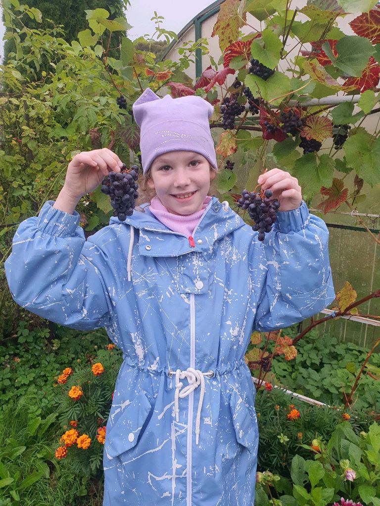 моя косметика