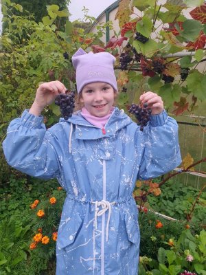 моя косметика