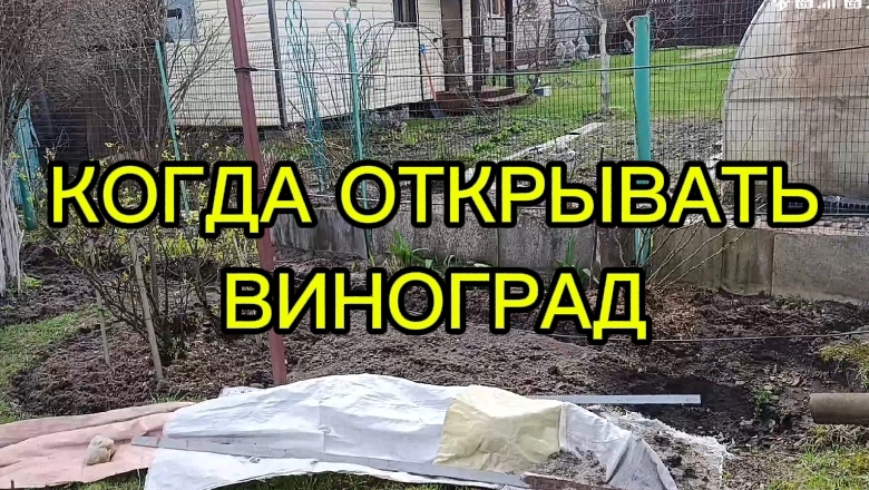 18 апреля Подмосковье работа в саду 🤗