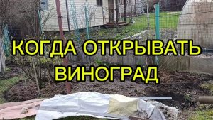 18 апреля Подмосковье работа в саду 🤗