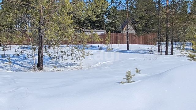 10530654 Лазурное