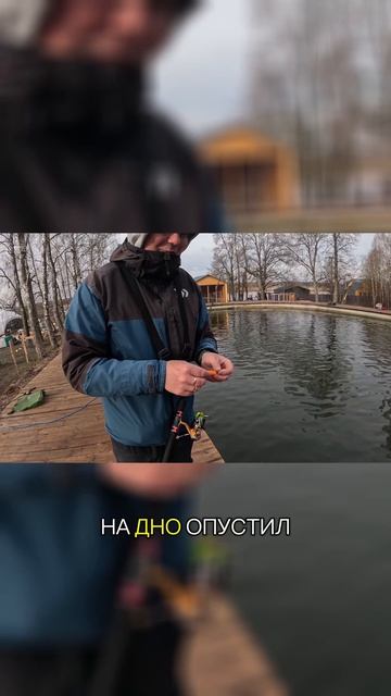 Приманка для ловли форели #форель #рыбалка #отдых #кутузово