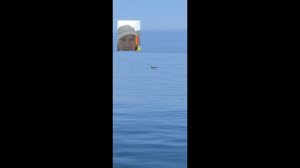 рыбалка Лазаревское 2026 апрель. 
пока ещё слабо клюёт.