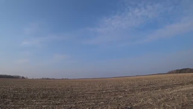 ОХОТА НА ГУСЯ, ЛУЧШИЕ МОМЕНТЫ