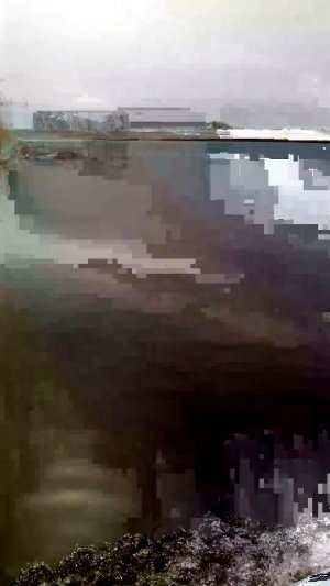 плывём по реке