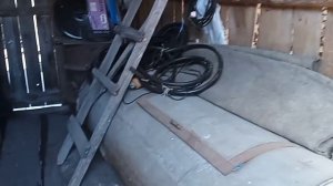 РАБОТА ПО ДОМУ🧹  ОКРОШКА🥘 ОБРЕЗАЛА ВЕТКИ🌱